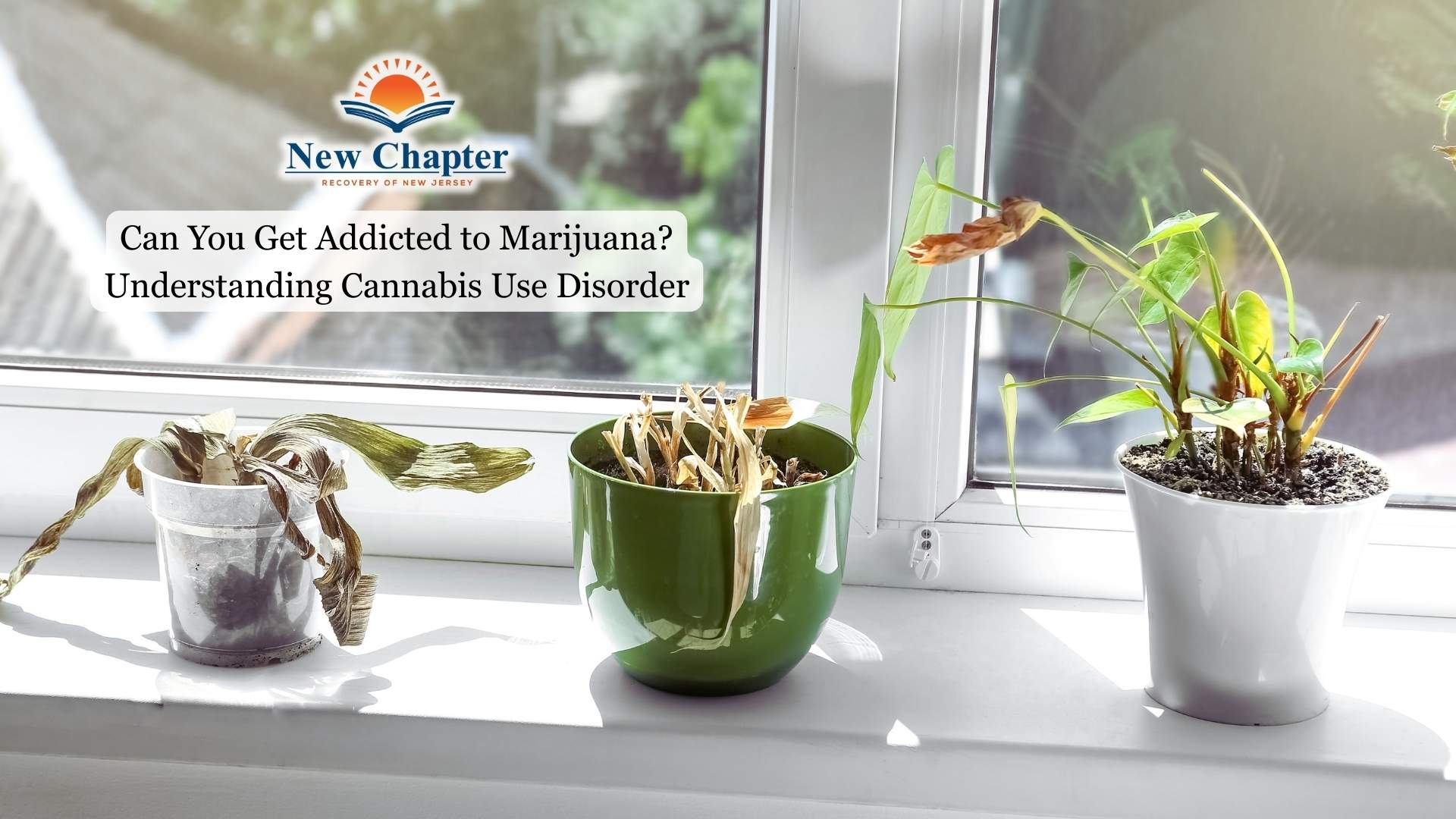 Can You Get Addicted to Marijuana Understanding Cannabis Use Disorder